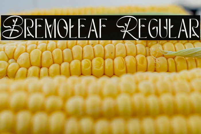 Bremoleaf Regular Example 3