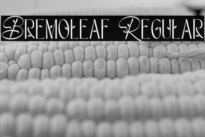 Bremoleaf Regular Polices examples