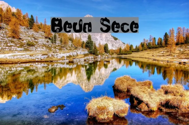 Brenda Spencer Example 3
