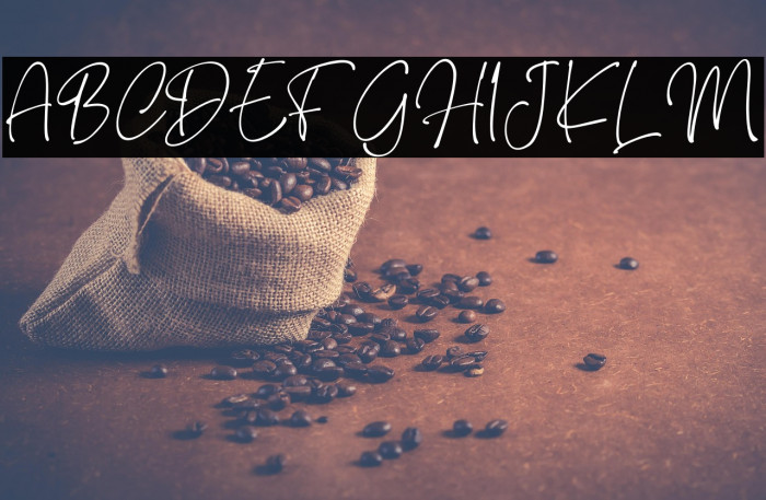 Brendria Signature Example 2