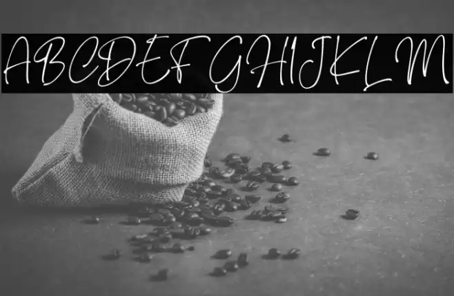 Brendria Signature Font examples