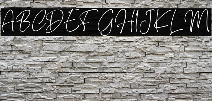 Brendria Signature Example 3