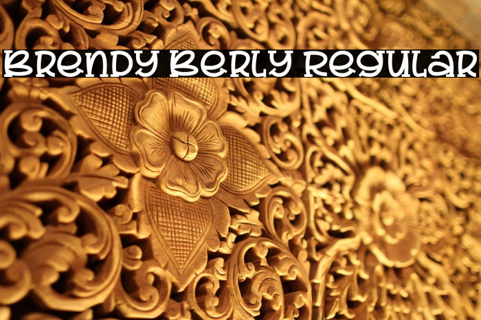 Brendy Berly Regular Example 1