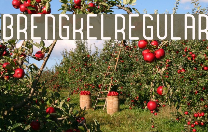 BrengkelRegular Font examples