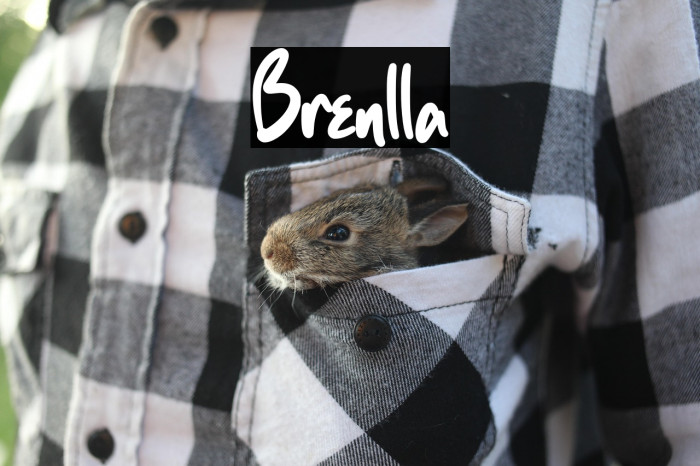 Brenlla Example 1