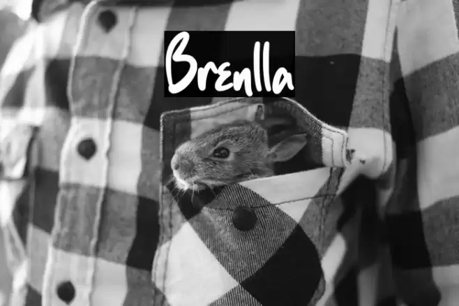 Brenlla Font examples