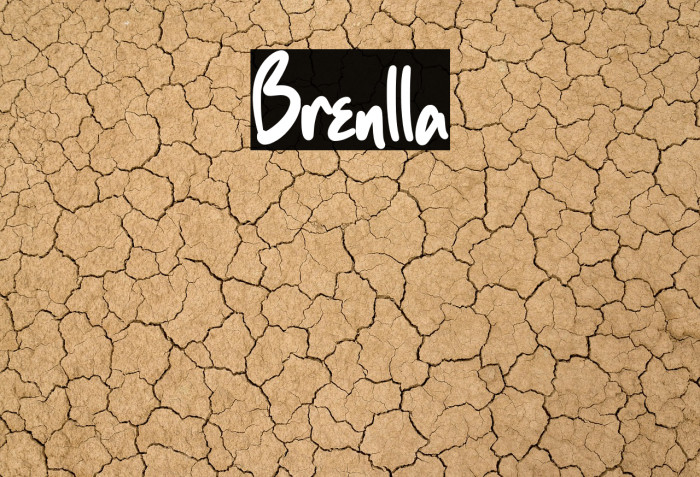 Brenlla Example 3