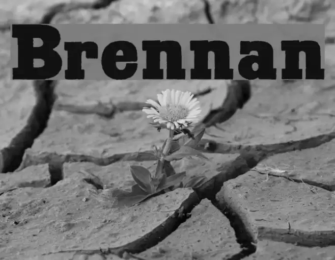 Brennan Font examples