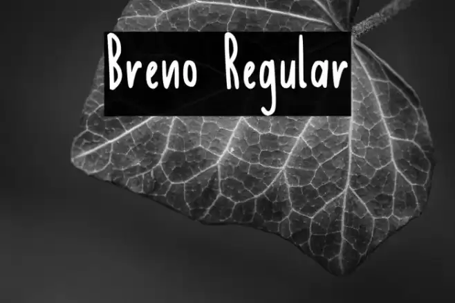 Breno Regular Font examples