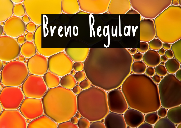 Breno Regular フォント examples
