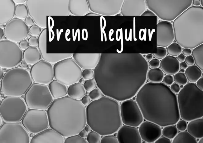 Breno Regular Font examples