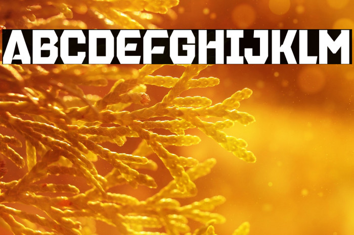 Brentford Block Personal Example 3