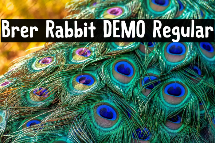 Brer Rabbit DEMO Regular Example 1