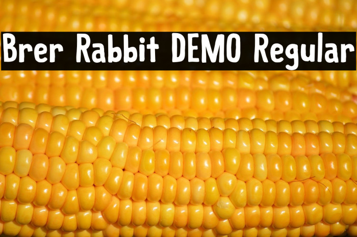 Brer Rabbit DEMO Regular Example 2