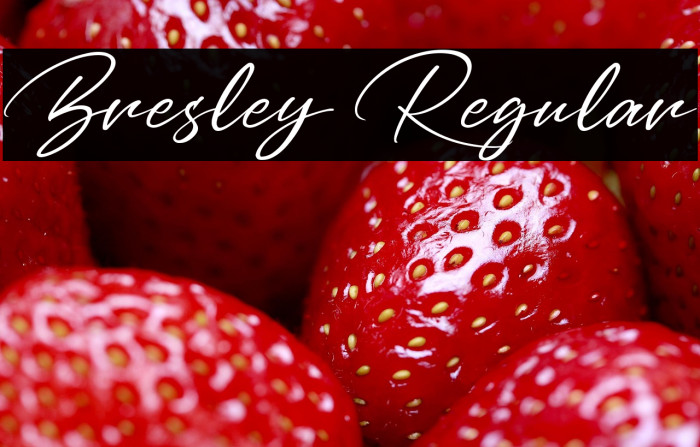 Bresley Regular Example 1