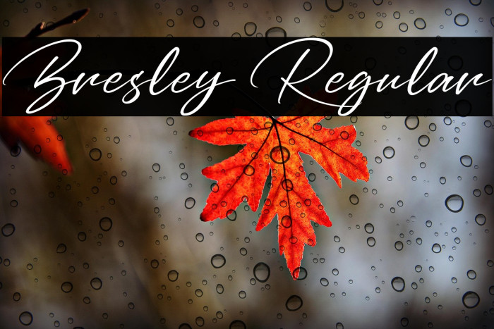 Bresley Regular Example 3