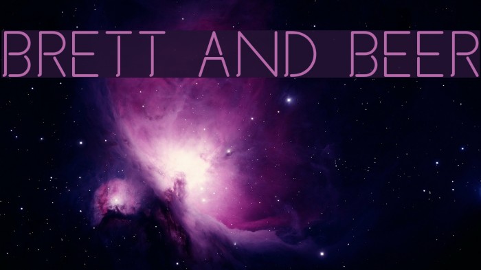 Brett and Beer Example 2