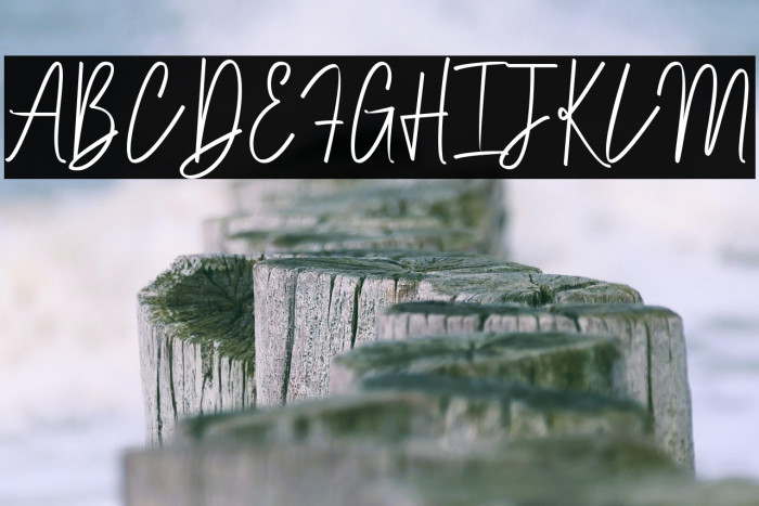 Brett hartley Example 2