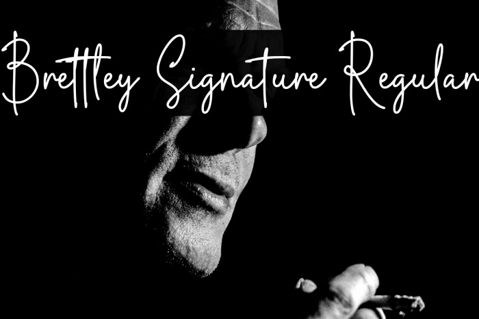 Brettley Signature Regular Example 3