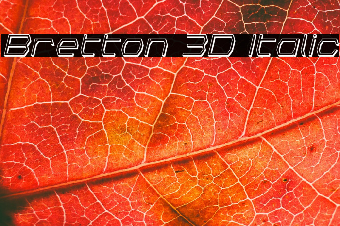 Bretton 3D Italic Example 2