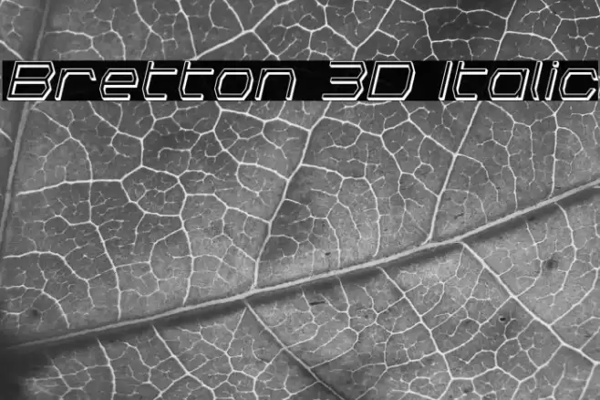 Bretton 3D Italic Font examples