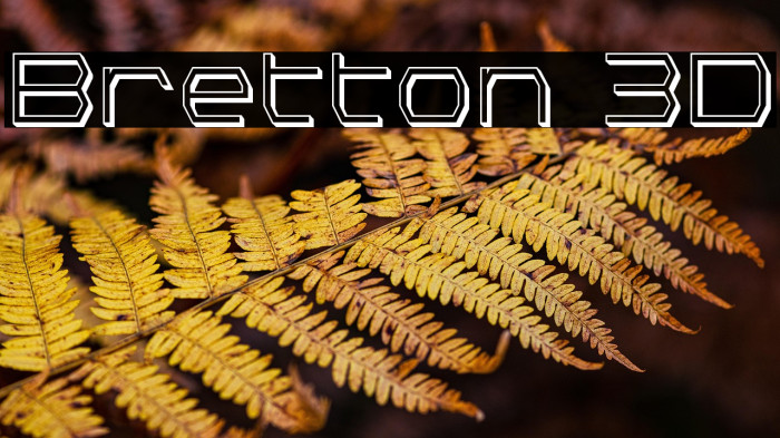 Bretton 3D Example 1