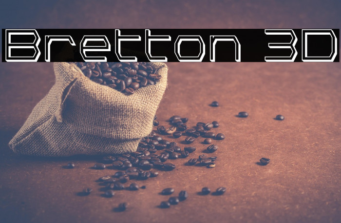 Bretton 3D Example 2