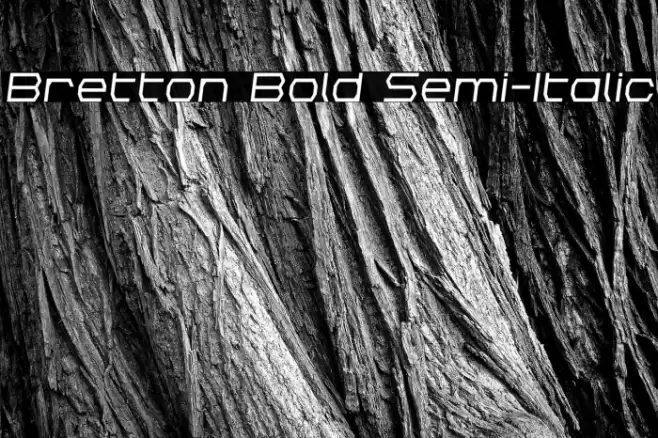 Bretton Bold Semi-Italic Font examples