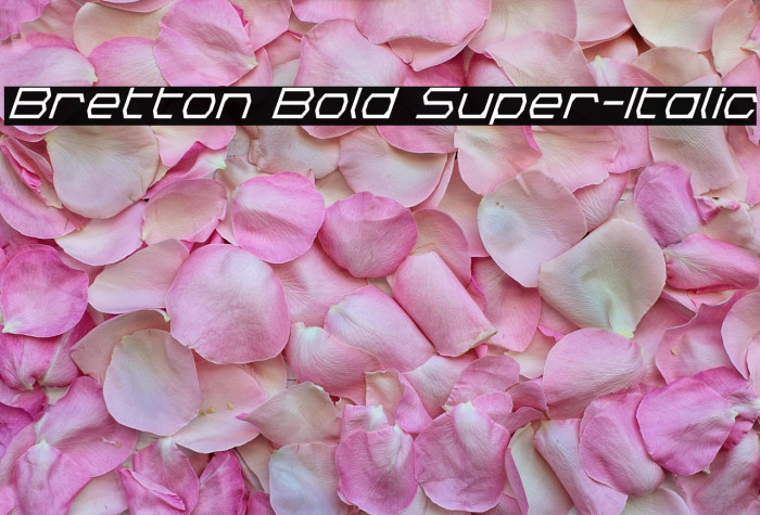 Bretton Bold Super-Italic Example 3