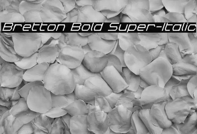 Bretton Bold Super-Italic Font examples