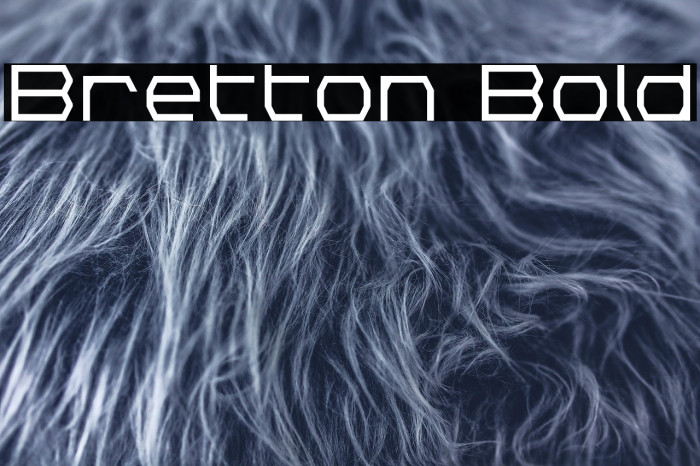 Bretton Bold Example 1