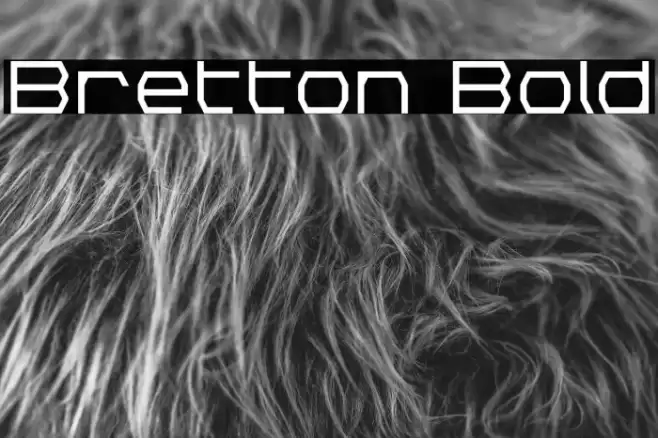 Bretton Bold Font examples