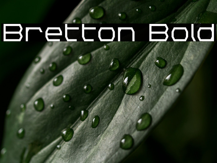 Bretton Bold Example 3