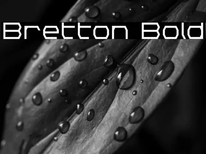 Bretton Bold Font examples