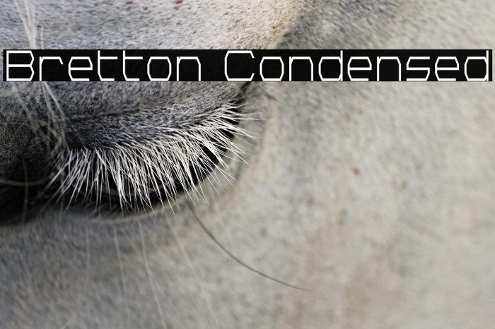 Bretton Condensed Example 1