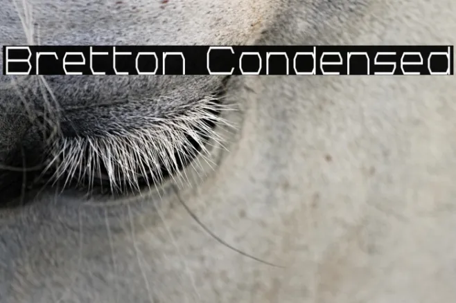 Bretton Condensed Example 1