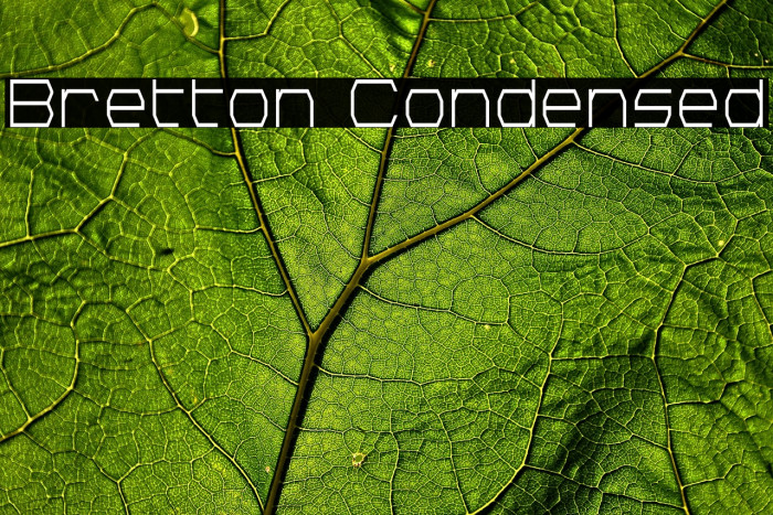 Bretton Condensed Example 3