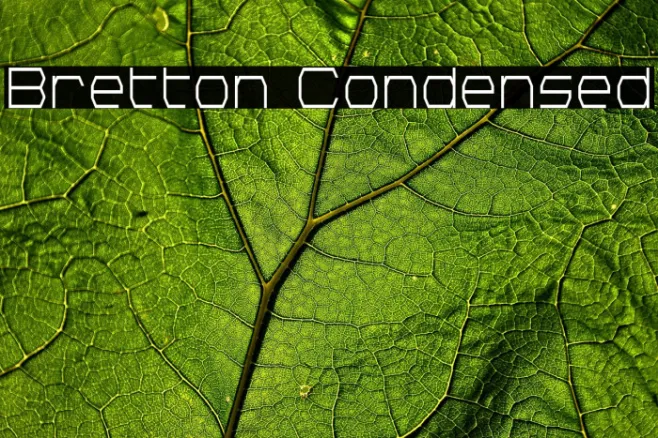 Bretton Condensed Example 3
