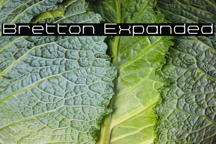 Bretton Expanded Example 2