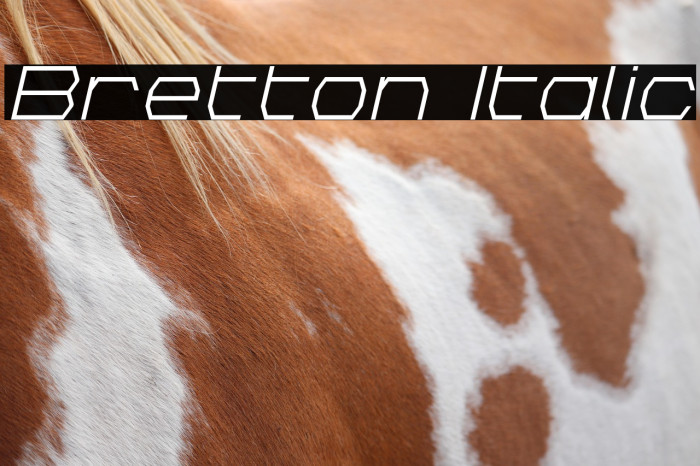 Bretton Italic Example 2