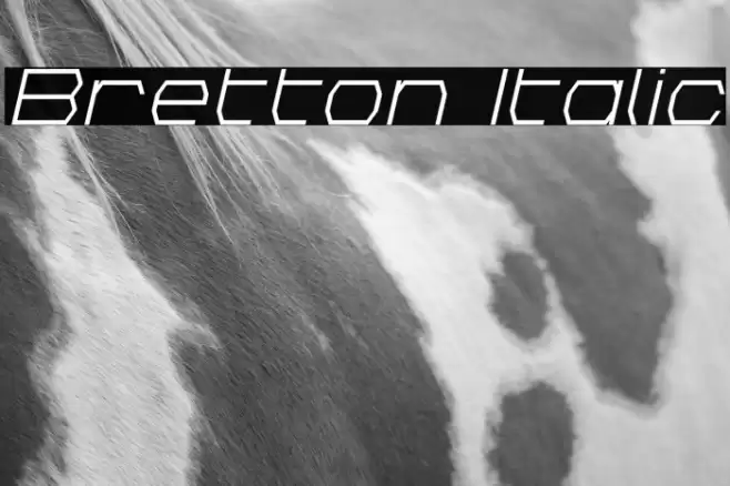 Bretton Italic Font examples