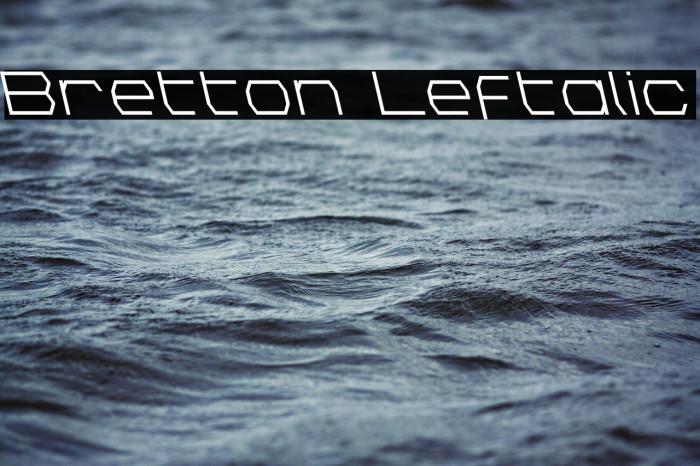 Bretton Leftalic Example 2