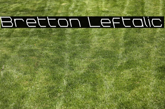 Bretton Leftalic Example 3