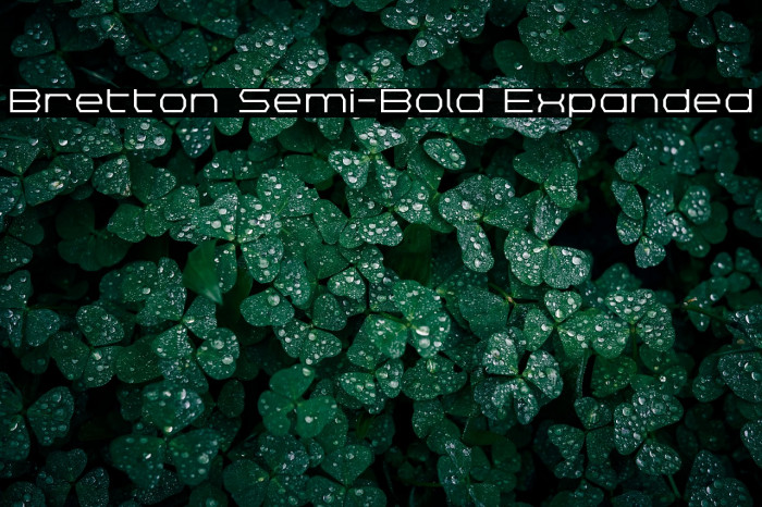 Bretton Semi-Bold Expanded Example 3