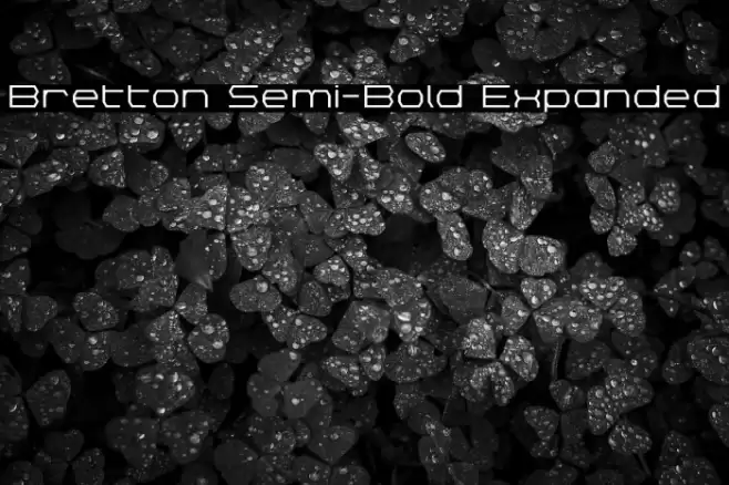 Bretton Semi-Bold Expanded Font examples