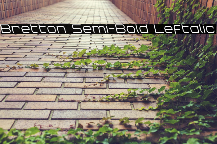Bretton Semi-Bold Leftalic Example 1