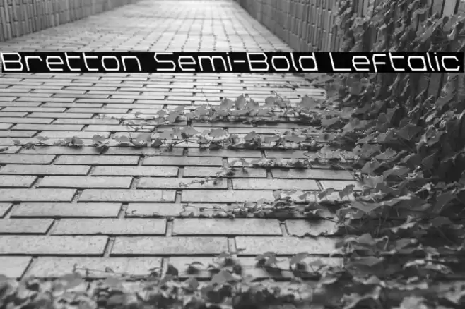 Bretton Semi-Bold Leftalic Font examples