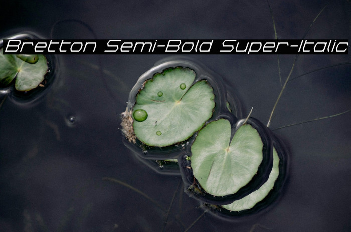 Bretton Semi-Bold Super-Italic Example 2