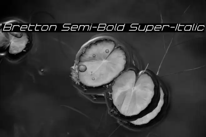 Bretton Semi-Bold Super-Italic Font examples