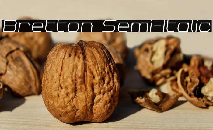 Bretton Semi-Italic Example 3